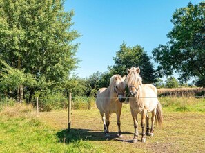 House | Miscellaneous - 11 Person Holiday Home in Orsted-by Traum (Ørsted)
