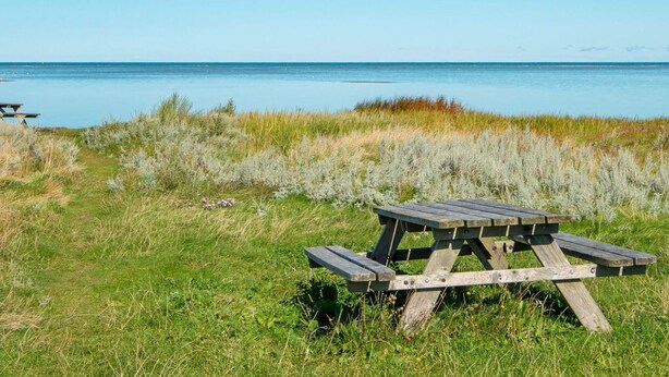 A wooden picnic table in a grassy area with a view of the water.