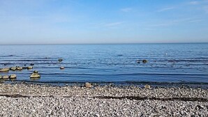 Unclassified image, 2 of 26, button - Holiday Home in Beddingestrand (Trelleborg)