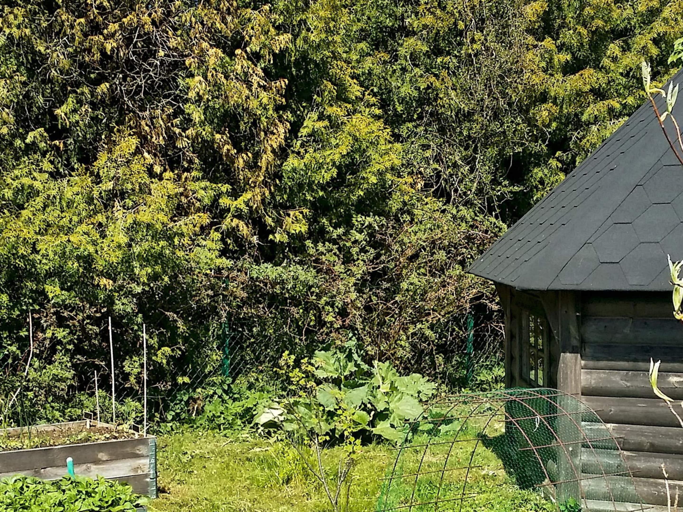 Ferienhaus | Aussenbereich