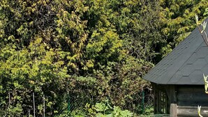 Unclassified image, 5 of 26, button - Holiday Home in Beddingestrand (Trelleborg)