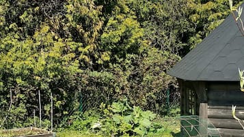 Ferienhaus | Aussenbereich