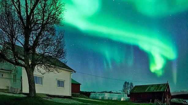Ein Haus mit einem großen Baum im Vordergrund, Heuballen im Hintergrund und dem Polarlicht am Himmel.