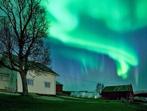 Et hus med et stort træ foran, høtynder i baggrunden og nordlys på himlen.
