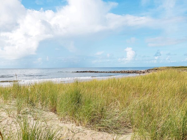 House | Beach - 4 Person Holiday Home in Blavand (Blavand)