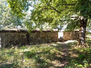 하우스 | 숙박 시설 구내