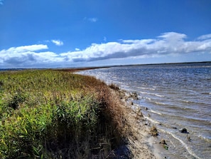 A coastal landscape with a clear sky, a body of water, and a grassy area.