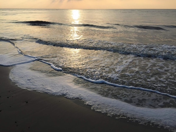 Une plage où les vagues viennent doucement lécher le rivage, reflétant la lumière du soleil.