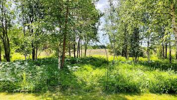 A natural landscape with trees and grass.