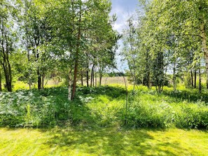 Un paysage naturel avec des arbres et de l’herbe.