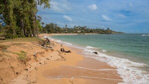 Une plage aux eaux cristallines, bordée d’un rivage sablonneux et entourée d’une zone boisée.