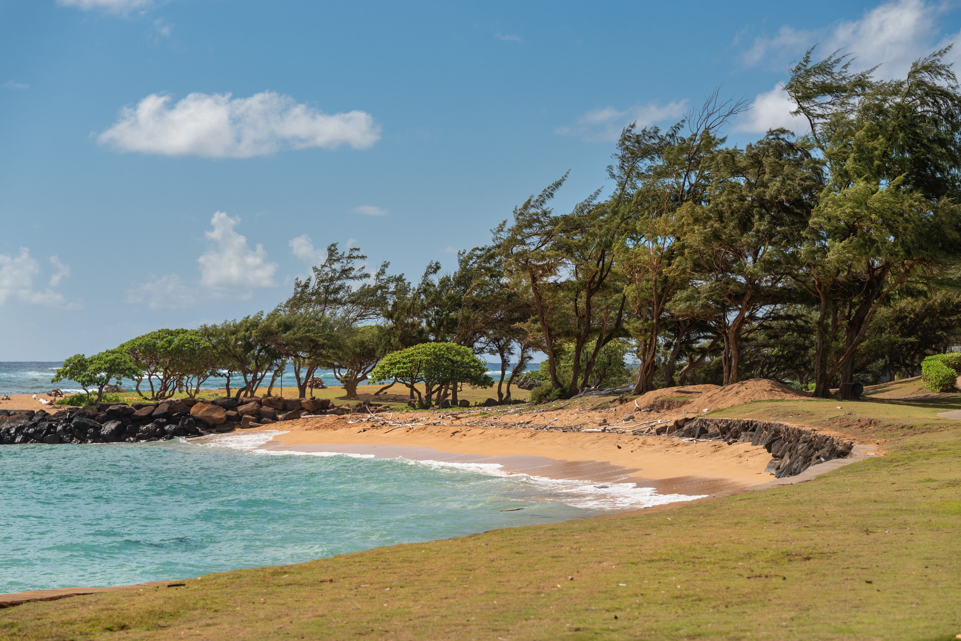 A coastal landscape with a sandy beach, rocky shoreline, and dense green trees.