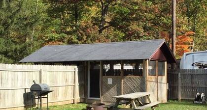 Charming Yet Wild Cozy Retro Cabin Hot Tub, Sunroom, Fire Pit & Trout! Hiking!