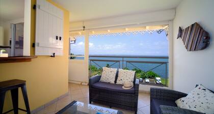 Spacious 3-bedroom apartment with sea view and pool access for 7