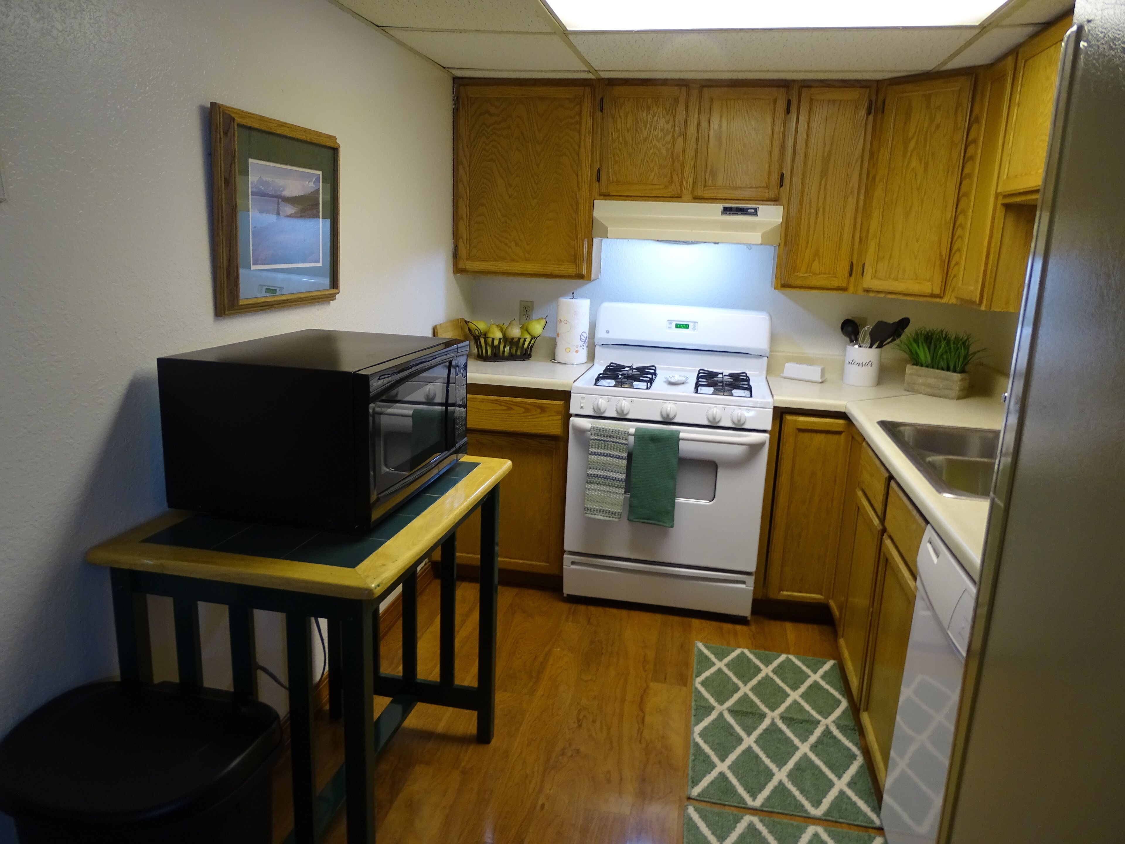 Mink Creek Air BnB 3br  Apartment -  Alaska Living 20 minutes from Anchorage