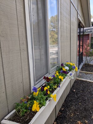 A window box with a variety of flowers, a building exterior, and a gravel area. -  Two Bedroom Cabin adjacent to Lake Barkley State Park (Cadiz)