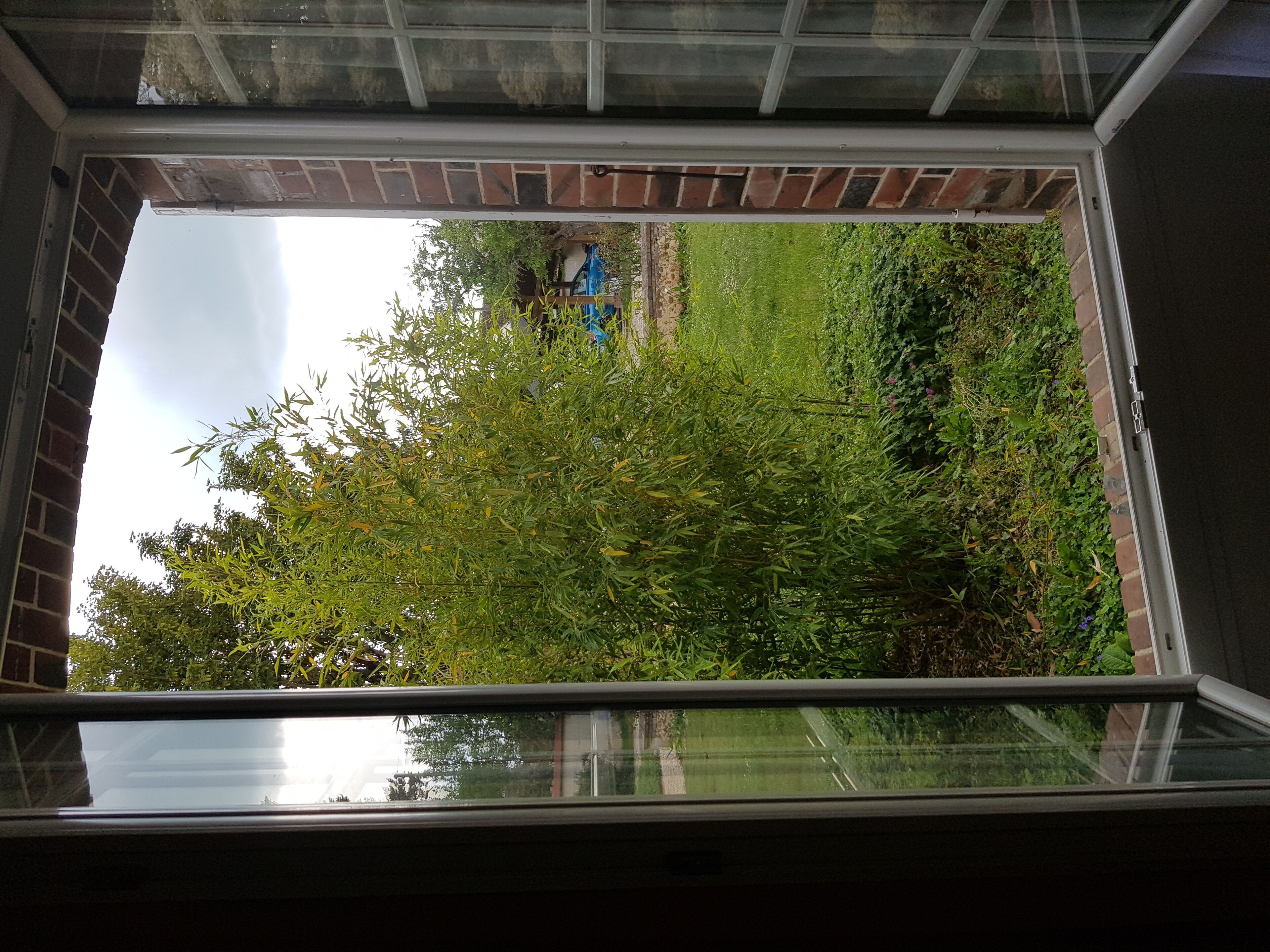 Camera Comfort | Vista giardino