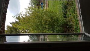 Una ventana con vista a un muro de ladrillo y vegetación densa.