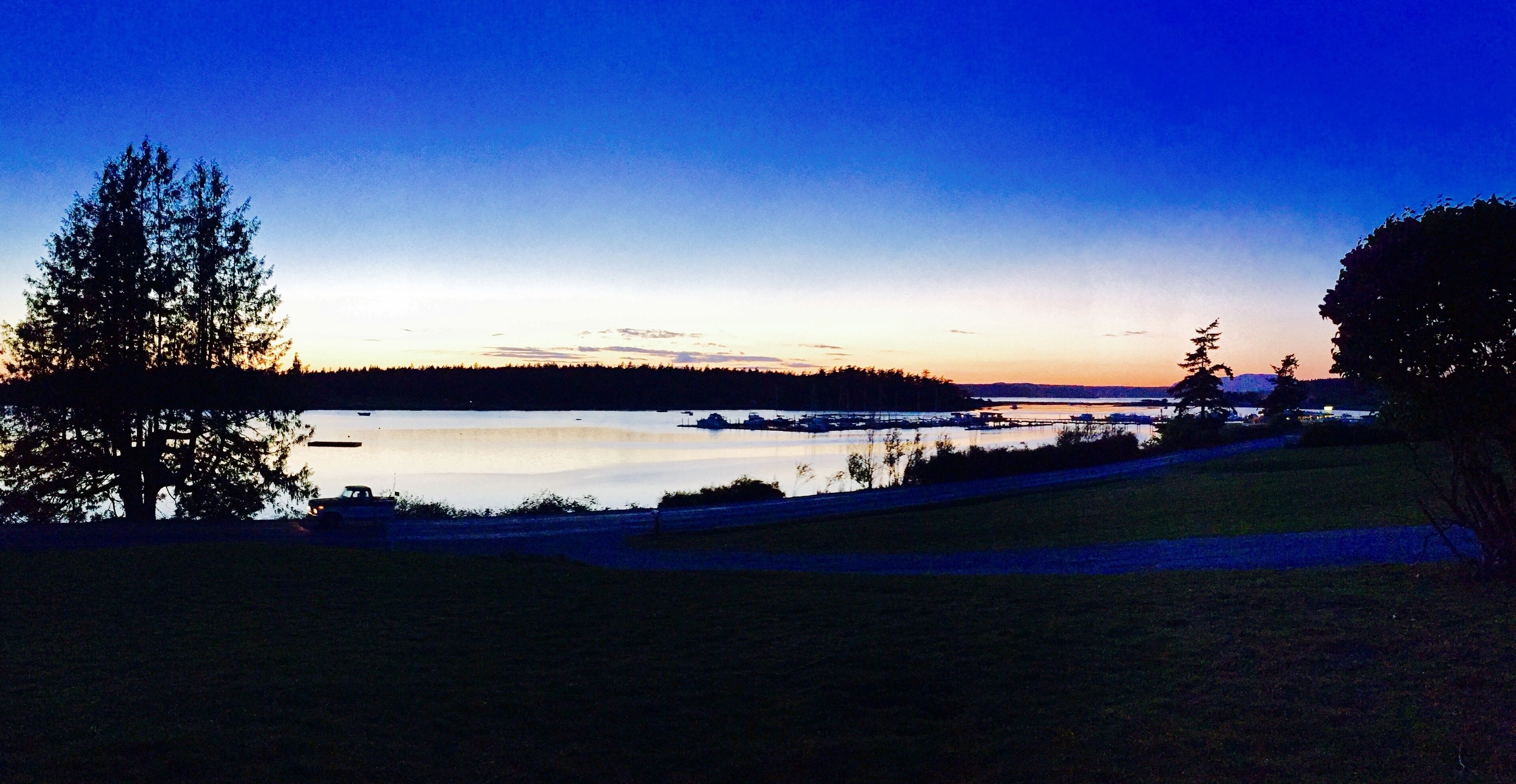 A lakeside view with trees and a clear sky.
