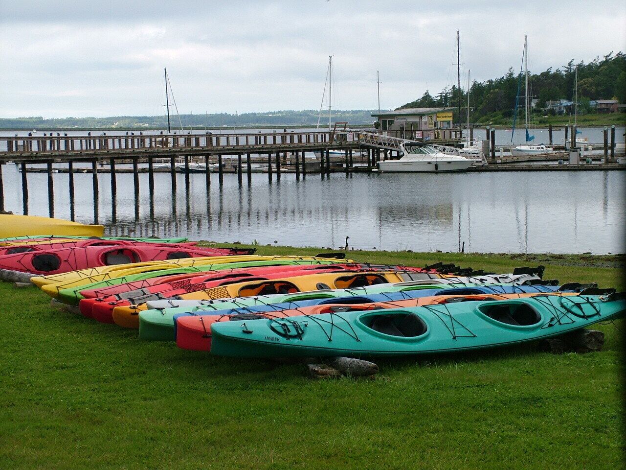 A row of colorful kayaks lined up on a grassy area near a dock with boats in the background.