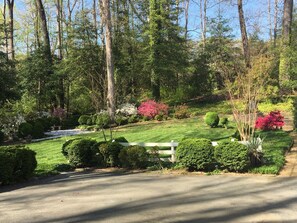 Property grounds - Super Clean luxury flat near the James River in park-like setting. (Richmond)