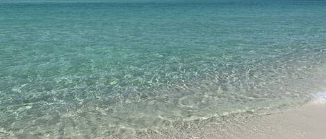 ビーチ、サンラウンジャー