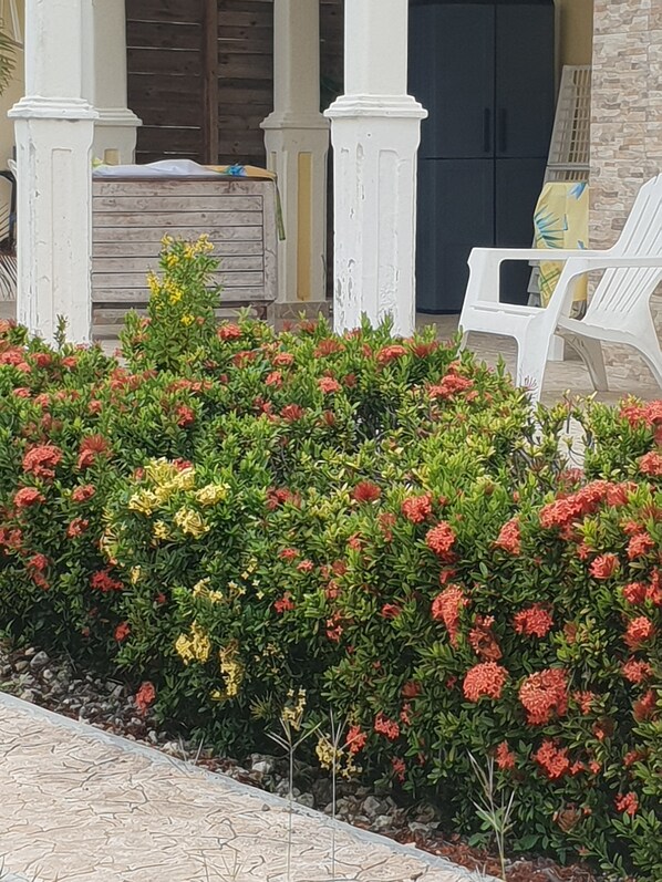 Enceinte de l’hébergement