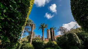 A garden with palm trees, a tower, and a building in the background. - LE CHATEAU DE LA PINEDE AP4198 (Juan-les-Pins)