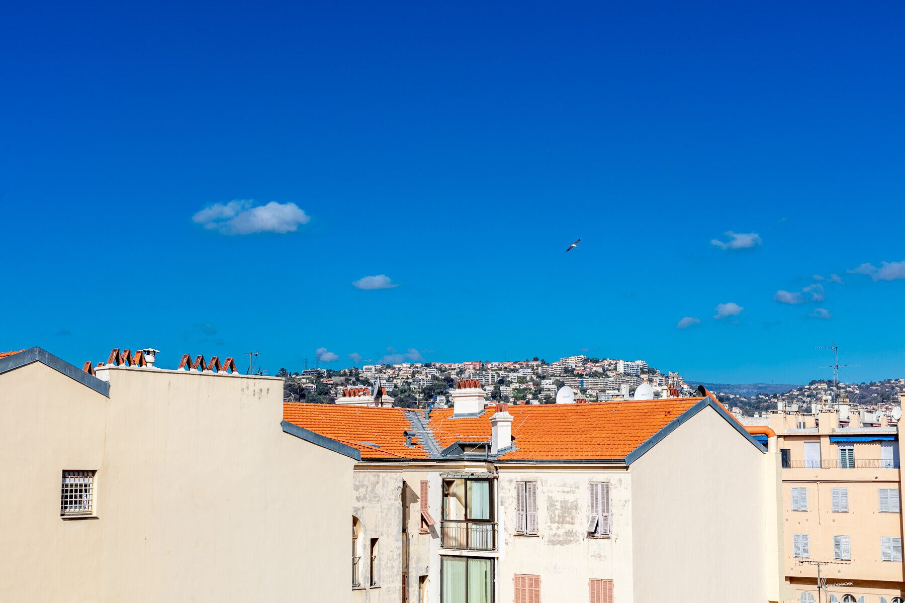 A cityscape with buildings, a clear sky, and a bird flying.