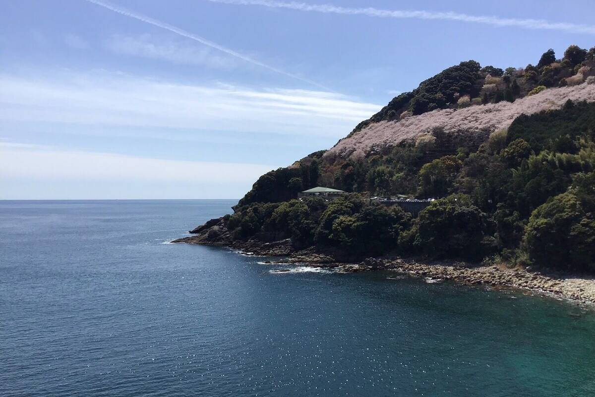 Un paisaje costero con costa rocosa, vegetación densa y cielo despejado.