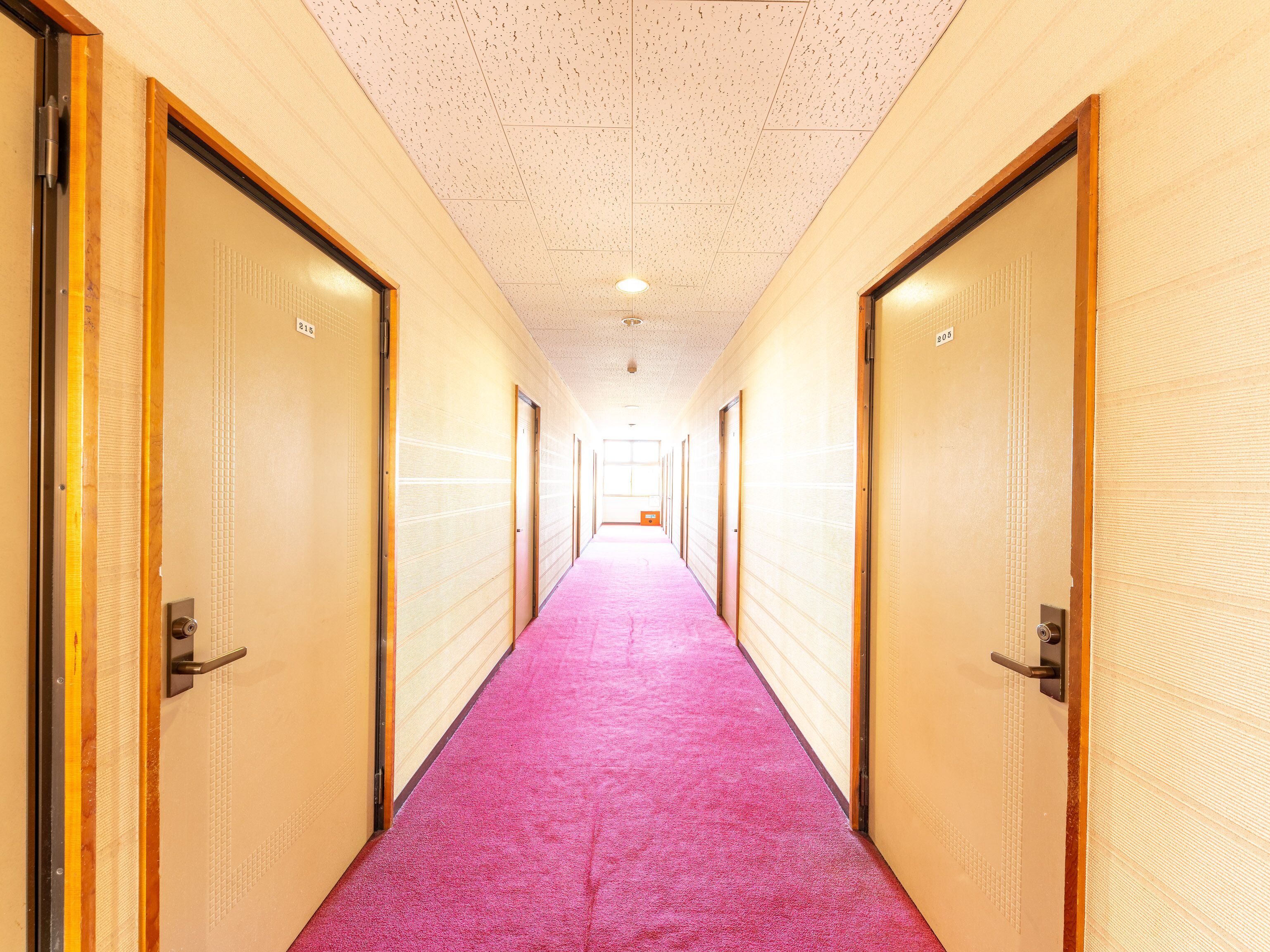 A hotel hallway with doors on both sides, a pink carpet, and a speckled ceiling.
