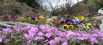 Lake&Forest Flower Villa Hotel