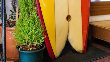 A potted plant next to a surfboard.