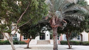 Unclassified image, 2 of 14, button - Bright Studio in Discovery Gardens! Sleeps 2 (Dubai)