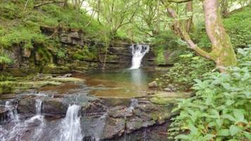 Una cascada natural en zona boscosa con terreno rocoso y abundante vegetación.