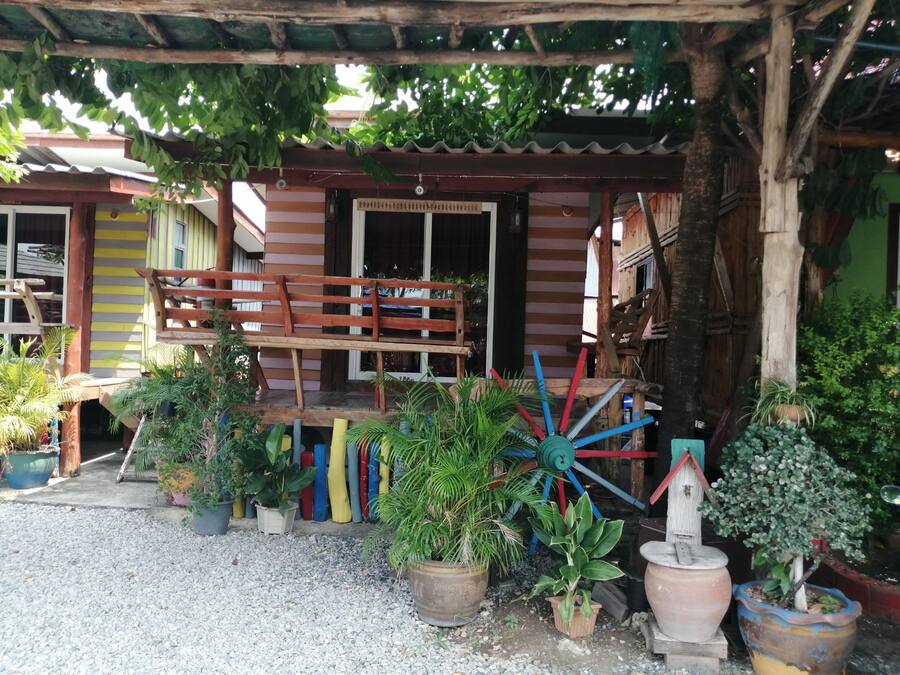 A rustic wooden house with a porch, surrounded by various potted plants and a large decorative windmill.