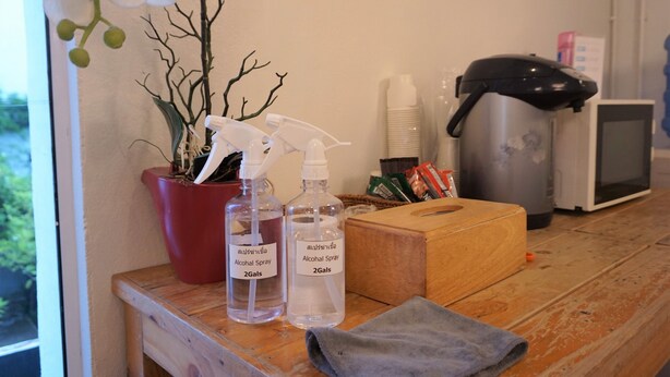 A wooden table with two spray bottles labeled "Alcohol Spray 2Gals" and a potted plant with white flowers. - Two Gals And The Pig - Hostel (Chiang Mai)