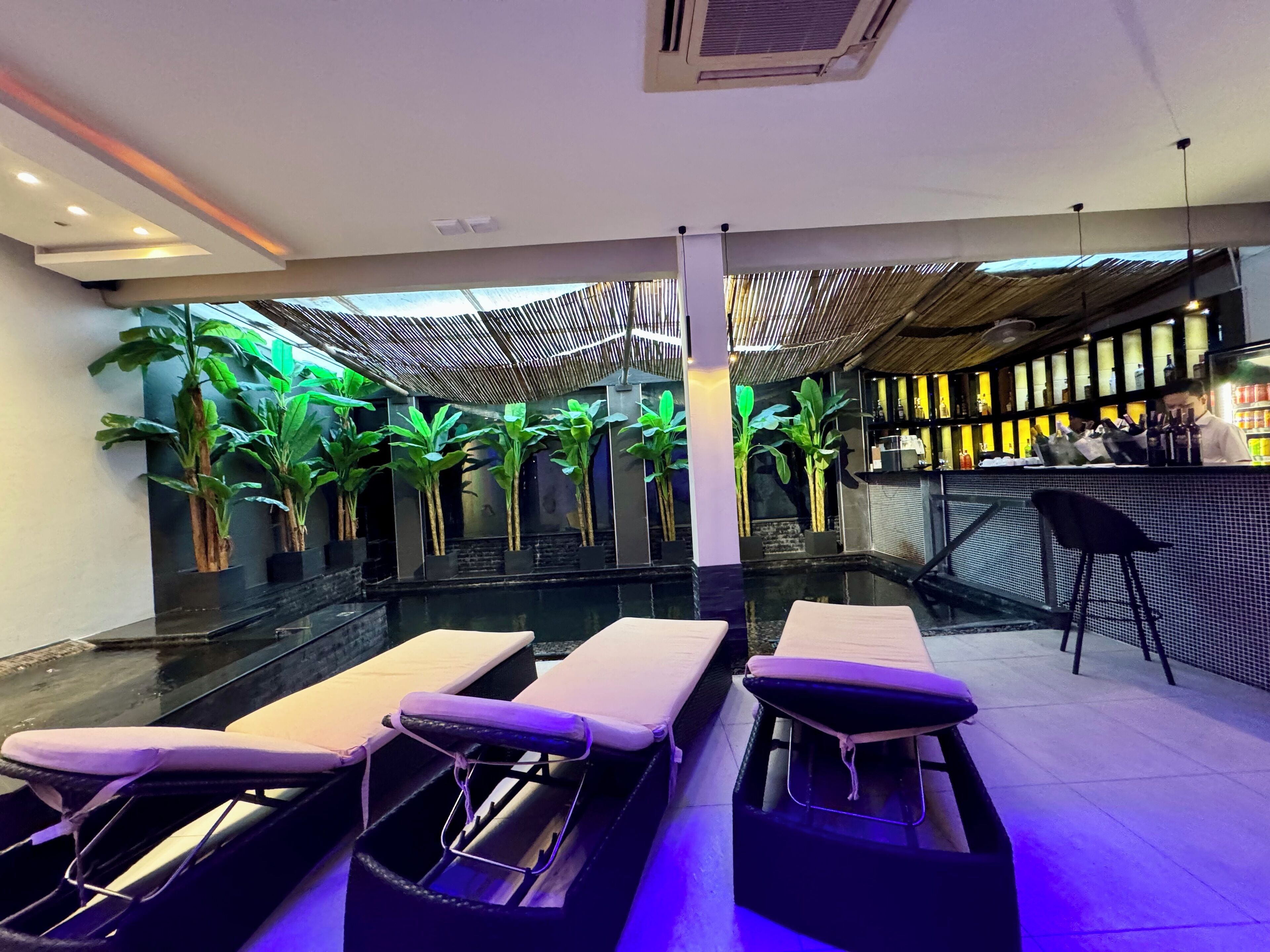 A modern bar area with a pool, lounge chairs, and potted plants.