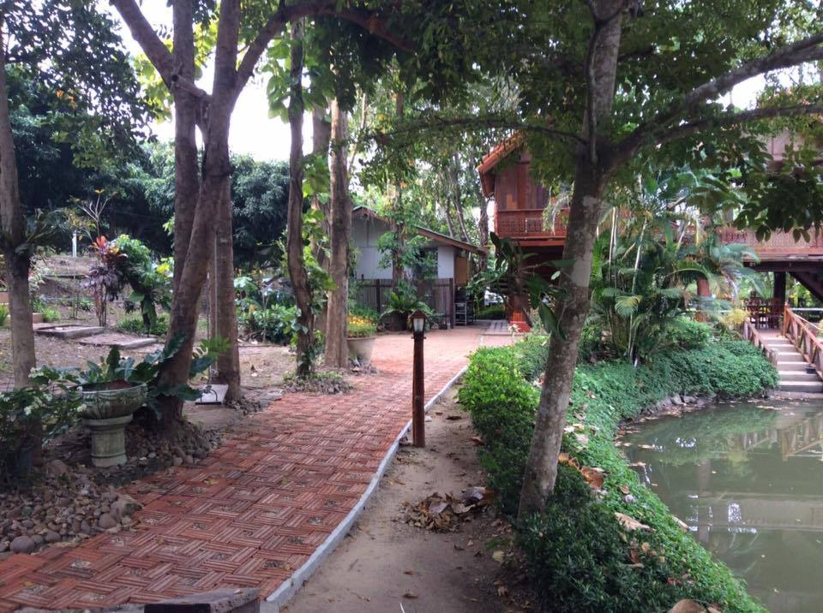 A garden with a paved walkway, a small pond, and a wooden bridge.