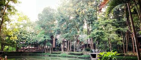 A serene park with a pond, lush greenery, and a bridge.