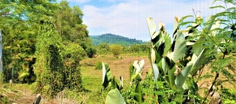Khok-kloi Phang-nga Nestvilla 度假村