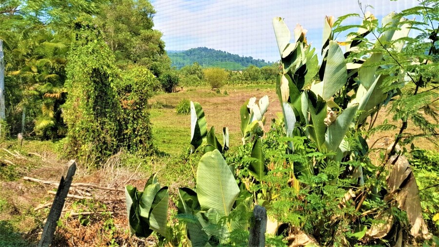 Nestvilla Khok-kloi Phang-nga