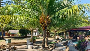 A pathway lined with palm trees and a covered seating area. - Alang Kenari Resort (Yan)