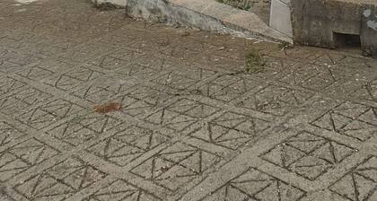 Vacation Villa with pool and huge garden