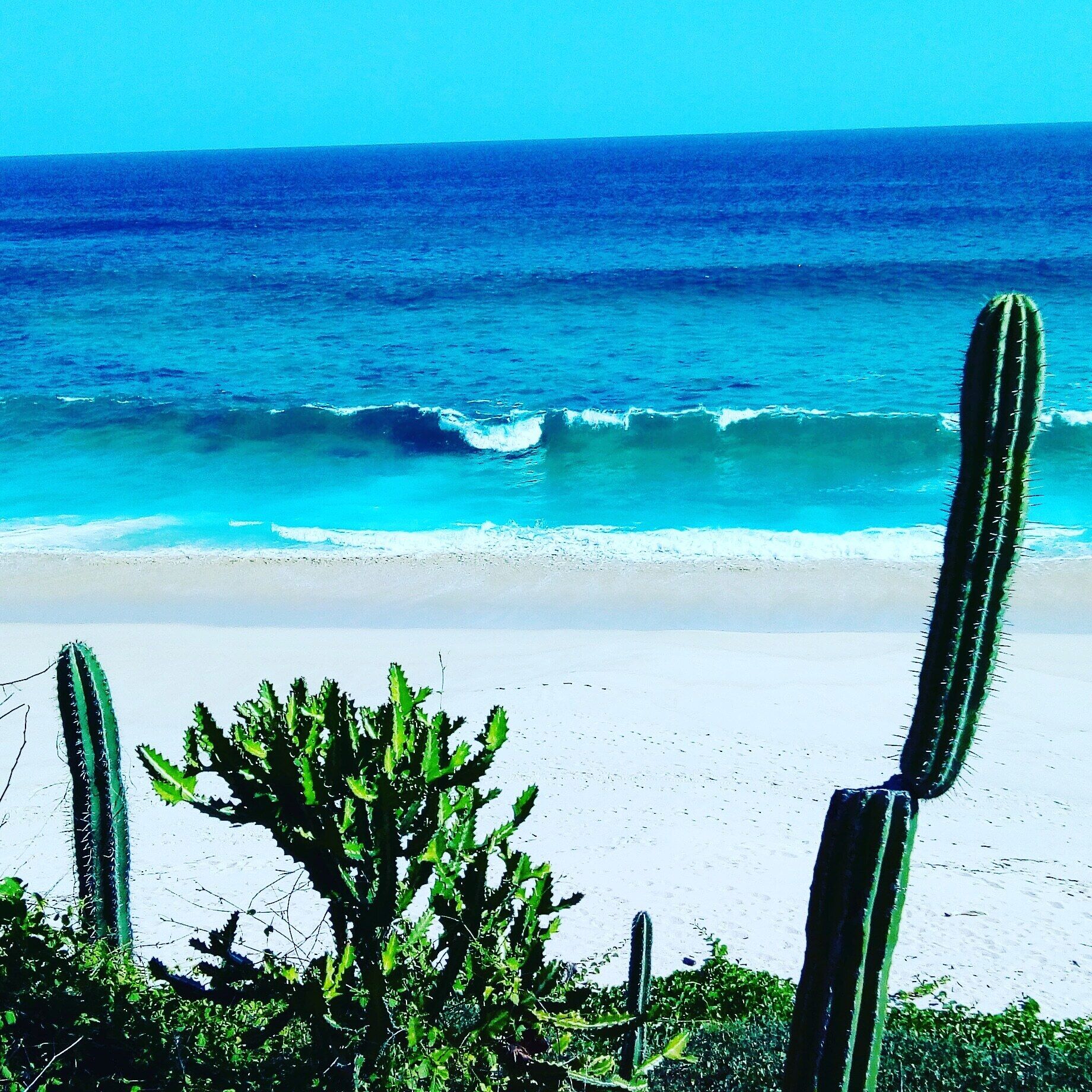 Bungalow, 1 Bedroom, Smoking, Terrace | Beach
