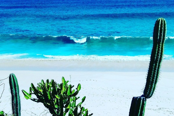 Bungalow, 1 Bedroom, Smoking, Terrace | Beach