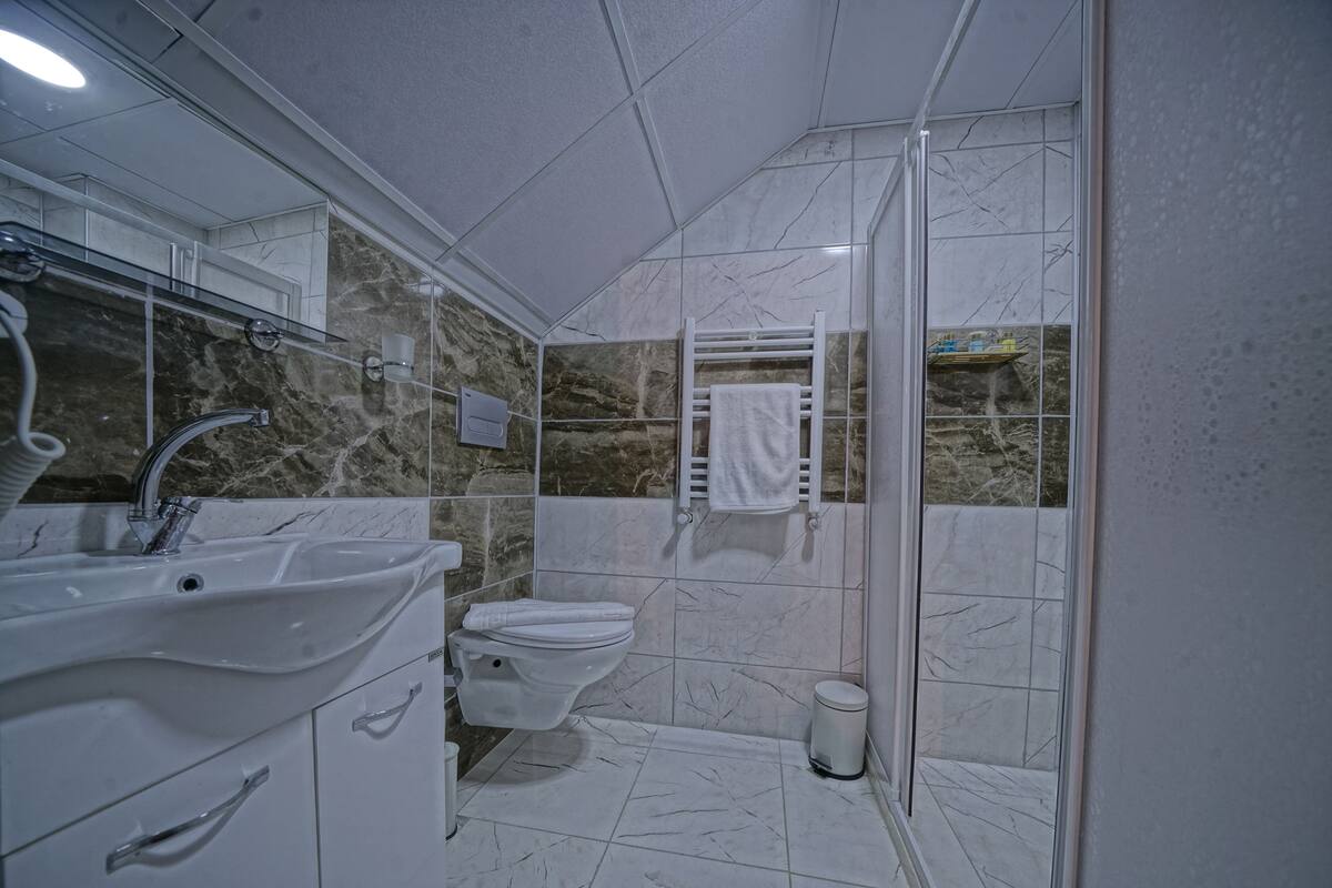 economy room | bathroom | shower, hydromassage showerhead, free toiletries, hair dryer