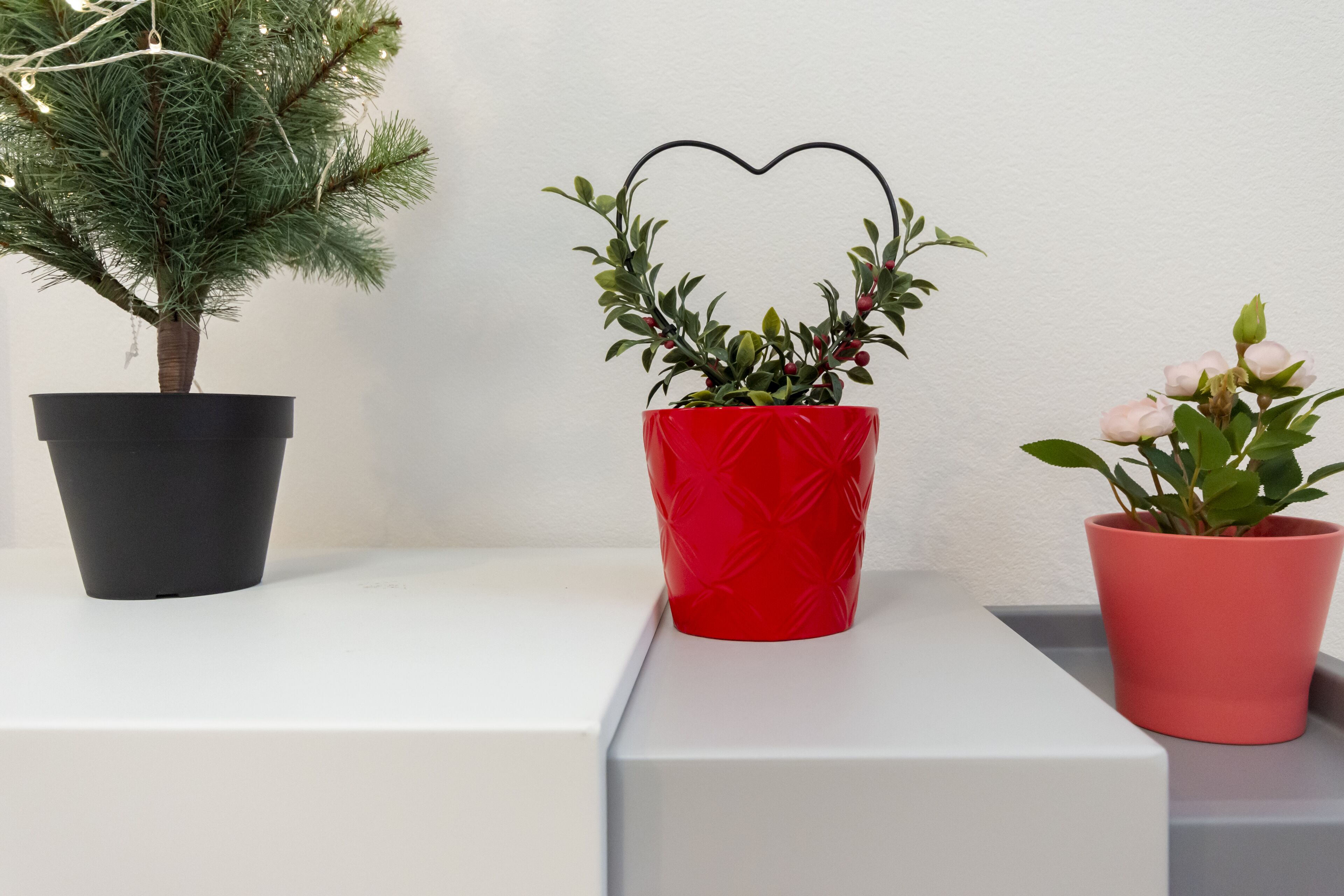 Three potted plants on white shelves against a plain wall.