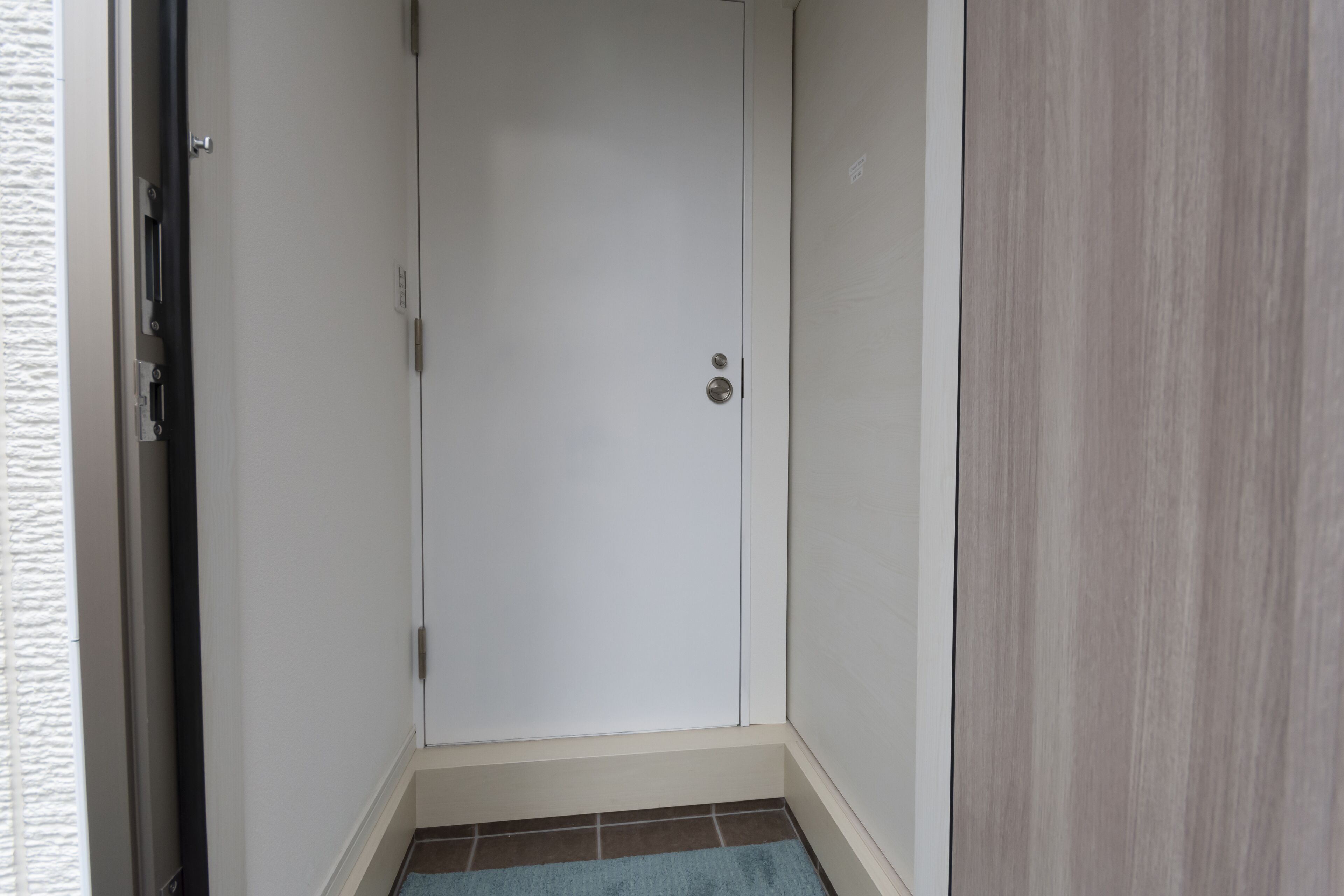 A closed door with a handle, a small step leading up to it, and a blue mat at the bottom.
