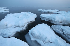 Experience serene winter landscapes with floating ice formations in a tranquil body of water.